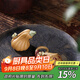 藏壺天下 宜興紫砂茶寵手把件茶玩茶道配件茶桌擺件迷你青蛙茶寵 套裝款