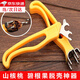 靜閑居山核桃專(zhuān)用工具剝小核桃神器山核桃?jiàn)A子剝殼器胡桃剝殼剝皮器工具 山核桃剝殼工具【1套盒裝】