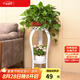 安爾雅  歐式鐵藝陽(yáng)臺(tái)花架花盆多層客廳室內(nèi)外綠蘿吊蘭花盆架加厚花架子