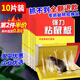楚婕雅強(qiáng)力粘鼠板老鼠貼超粘板加厚滅鼠老鼠一窩端驅(qū)鼠神器家用黏鼠10片