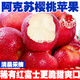 正宗新疆阿克蘇櫻桃小蘋(píng)果新鮮水果當季現摘紅富士丑萍果脆甜爽口 大果 4.5斤