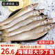 朵芙新鮮沙丁魚(yú) 國產(chǎn)活凍沙尖沙鉆魚(yú)人工冷凍 船捕海鮮水產(chǎn)魚(yú)類(lèi) 新鮮沙丁魚(yú)凈重3斤