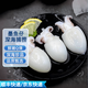 格雷緣墨魚(yú)仔 新鮮免處理冷凍小墨魚(yú)無(wú)冰鮮活冷凍烏賊小魷魚(yú)撈汁小海鮮 墨魚(yú)仔 10斤(凈重)  20-30只/斤