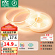 雷士（NVC）led燈帶低壓高顯指舒適光無(wú)頻閃led柔性燈條吊頂超亮線條客廳燈 5米暖黃Ra95-320珠10/米-需電源