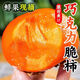 巧克力脆柿子5斤新鮮水果當季黃甜硬柿子火晶特產(chǎn)大果軟整箱包郵R 3斤【帶箱實(shí)惠】
