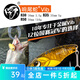 lurefans大河VIB響尾蛇路亞假餌 R30/35/R50遠投路亞餌鐵板翹嘴魚(yú)鱸魚(yú)亮片 混色裝 50mm【13.5g】5只裝