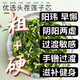 蓮子心茶泡水蓮子芯干貨中藥材清心特級蓮芯天然花茶養生蓮子心茶 蓮子芯100g/罐