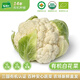 有機匯有機白花菜 有機菜花 新鮮有機蔬菜  零化肥零農殘 當日新鮮采摘 1000g