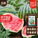 北蔬 8424西瓜種子種苗麒麟甜脆水果種籽 8424西瓜種子約30粒