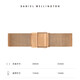 丹尼爾惠靈頓（DanielWellington）DW表帶12mm鋼帶玫瑰金按扣女款DW00200192（適用于28mm表盤(pán)系列）
