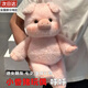 軒島會跑步的小豬玩偶可愛跑跑小香豬呼呼小野豬娃娃毛絨玩具生肖公仔 【小香豬】呼呼 45cm生日七夕情人節(jié)禮物送女朋友睡覺抱枕