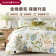 Harbor House美式純棉床上四件套100%棉秋冬季磨毛環(huán)保印花全棉被套床單枕套 Mia全棉磨毛四件套 40支 1.8米 床單款 （被套220*240cm）