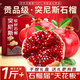 樺萱四川突尼斯軟籽石榴會(huì )理紅寶石新鮮水果中秋送禮品中秋水果禮盒 9A級｜單果400-500g【我蕞甜】 5斤精選裝【超值推薦】?jì)?.5斤