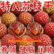 胖東|來(lái)同款荔枝干特級核小25新貨正宗桂味糯米糍小核小肉厚味甜 今年新貨【自曬荔枝干】無(wú)干燥劑 超值特惠：大顆?！?00g/2袋】馬上漲