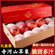 靈寶蘋(píng)果 LINGBAO APPLE2025正宗靈寶寺河山蘋(píng)果SOD紅富士富硒孕婦水果脆甜平安果禮盒裝 90mm-95mm(不含)大果有SOD標12果禮盒