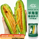 壽禾 羊角蜜種子苗脆甜水果甜瓜種籽 濰育壽甜9號羊角蜜種子600粒桶裝