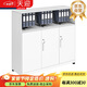 天迎文件柜鐵皮柜辦公室矮柜財務(wù)資料檔案柜TY-WJ2611