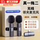 衛辭無(wú)線(xiàn)領(lǐng)夾麥克風(fēng)一拖二直播收音收聲器主播專(zhuān)用錄音設備夾領(lǐng)手機拍視頻降噪typec直播適用華為小米 一拖二【安卓type-c版】 雙芯進(jìn)口降噪/送自拍神器/超清拾音