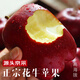 花牛 天水花牛蘋(píng)果 TIANSHUI HUANIU APPLE 當季現摘粉面紅蘋(píng)果 新鮮水果整箱 孕婦 寶寶輔食 團購送禮 蛇果 5斤裝（凈果4.5-5斤）優(yōu)選果