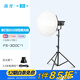南光（NANLITE）FS-300C全彩大功率補(bǔ)光燈 視頻直播拍攝燈 RGB專業(yè)影棚大場景攝影燈 氛圍人像拍照燈 FS-300C+650柔光球+燈架