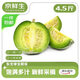 京鮮生 東北綠寶甜瓜蜜瓜 凈重4.5斤 單果200g+ 新鮮水果源頭直發(fā)包郵