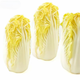 京地達山東新鮮黃心娃娃菜【一袋】一袋凈重500g+火鍋食材 源頭直發(fā)包郵