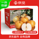 京覓山東豐水梨  凈重4.5斤單果300g+ 新鮮水果源頭直發(fā)包郵