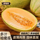 譽(yù)福園西州哈蜜瓜黃金甜瓜水果新鮮當(dāng)季整箱黃金哈密瓜香瓜冰激凌口感 5斤裝