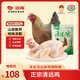 嘆雞原種清遠(yuǎn)母雞1kg 散養(yǎng)走地雞土雞生鮮雞肉椰子雞食品整雞燉湯食材