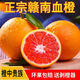 桃李村血橙新鮮水果紅心橙子紅肉臍橙榨汁贛南de臍橙當季水果多地次日達 3斤