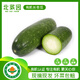 北菜園 有機長(cháng)冬瓜 約500-600g 有機新鮮蔬菜 冬瓜 節瓜 火鍋食材