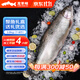 龍羊峽冰鮮國產(chǎn)青海三文魚(yú)整條大魚(yú)禮盒冷水魚(yú)生鮮高原虹鱒送禮順豐 冰鮮整魚(yú)禮盒 3.8kg （7-8斤）