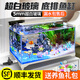添悅魚(yú)缸新款超白生態(tài)玻璃缸家用客廳辦公室底部排水魚(yú)缸一體自循環(huán) 36CM缸【世外桃源套餐】+養魚(yú)大禮包