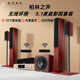 YTFY柏林之聲家庭影院音響套裝5.1家用客廳環(huán)繞組合音箱電視k歌重低音 七件套(10寸低音炮)+無(wú)線環(huán)繞