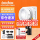 神牛（Godox）ML100Bi攝影燈雙色溫可調(diào)便攜夜拍燈人像補(bǔ)光燈戶外控制室電影視頻攝像燈  ML100Bi【官方標(biāo)配】