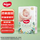 好奇小森林新款森林密語(yǔ)嬰兒尿不濕紙尿褲拉拉褲超薄透氣 紙尿褲NB60片(5KG一下）