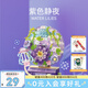 森寶積木花語旋音唱片機(jī)男生女生拼裝玩具擺件七夕情人節(jié)禮物611098
