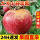吉果叔 大涼山丑蘋(píng)果 應當季正宗蘋(píng)果脆甜紅富士現摘新鮮水果 整箱 凈重4.5-5斤 【迷你果】60mm-65mm