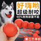 狗狗玩具球耐咬實(shí)心球磨牙玩具中大型犬訓(xùn)練泰迪薩摩耶金毛玩具球 實(shí)心-彈力球 小號(hào)【適合4-9斤狗狗使用】