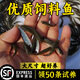 喂烏龜飼料魚(yú)小魚(yú)活體養殖活魚(yú)龍魚(yú)活食飼料淡水魚(yú)苗草魚(yú)苗鯽魚(yú)苗 【飼料魚(yú)2-3厘米60條】體驗裝 【好評退2】