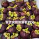 【現貨】泰國進(jìn)口山竹5a大果5斤3斤6a特級新鮮超甜現摘孕婦水果3a 5斤 5A大果
