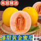 甜果源 黃金蜜瓜 黃河密瓜甜瓜黃皮香瓜海南特產(chǎn)應季時(shí)令新鮮水果禮品盒 凈重3斤【嘗鮮裝】