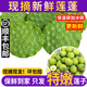 良知農(nóng)哥【順豐】現(xiàn)摘蓮蓬 蓮子蓮蓬生吃嫩蓮子鮮甜新鮮水果 特嫩蓮蓬3斤 順豐陸運(yùn)丨回購(gòu)多