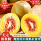 京地達四川紅心獼猴桃12粒單果60g+奇異果生鮮水果源頭直發(fā)包郵