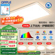歐普（OPPLE）LED吸頂燈大客廳自建房超大1.2米全光譜APP智能燈具飾錦軒TC A5智控調(diào)光【4室1廳-5燈】