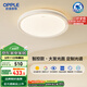 歐普（OPPLE）吸頂燈智控調光LED照明燈具全光譜智慧光圓臥包安裝 品見(jiàn)4白