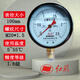 紅旗牌儀表YTN-100/YN-100抗震壓力表耐震壓力表充油壓力表真空表 0~2.5MPa