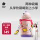 BC BABYCARE兒童保溫杯大寶寶學(xué)飲吸管水杯水壺霸王龍不銹鋼保溫杯上學(xué)2 恐龍背帶款+吸嘴-引力洋紅 450ml