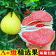 紅心柚子新鮮水果當季整箱時(shí)令水果紅肉柚子超甜薄皮蜜柚紅心柚 小果（單果：500-850g） 1個(gè)裝（1-1.5斤）
