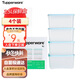 特百惠（Tupperware）冷凍2.5L*4保鮮盒食品級冰箱儲物密封收納盒肉類(lèi)速凍速解 馬卡藍